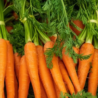 Carrot Root Water (당근수)