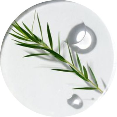 Cica Leaf Water (병풀잎수)