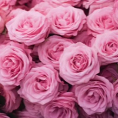 Rosa Damascena Flower Water (다마스크장미꽃수)