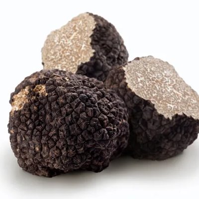 Truffle Water (흰서양송로수)