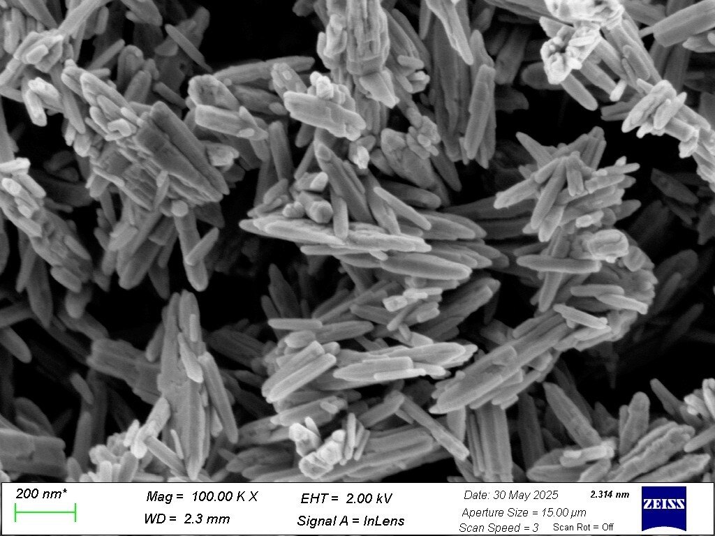 Non-nano ZnO 전자현미경(SEM) 이미지 — 막대형 입자