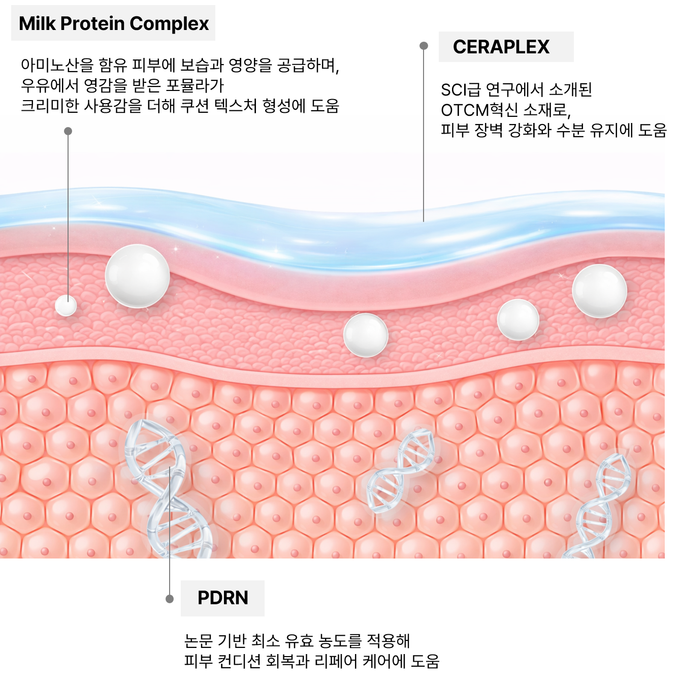 요즘 인기있는 젤리제형, 차별화 전략 공개