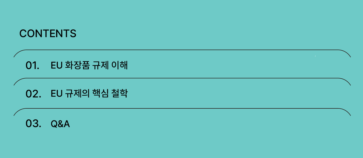 지금 EU 규제를 보면 1년 뒤 한국과 글로벌 시장이 보인다.