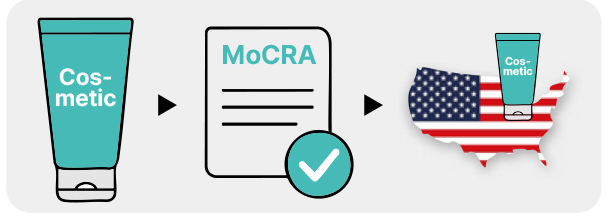 MoCRA 규제 프로세스 인포그래픽