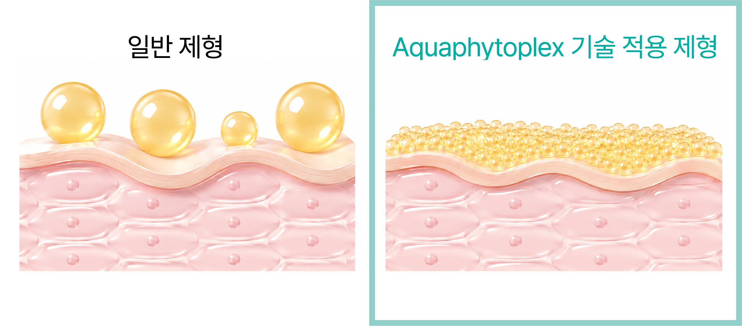  '증명 가능한' 피부 흡수 기술, 아쿠아피토플렉스