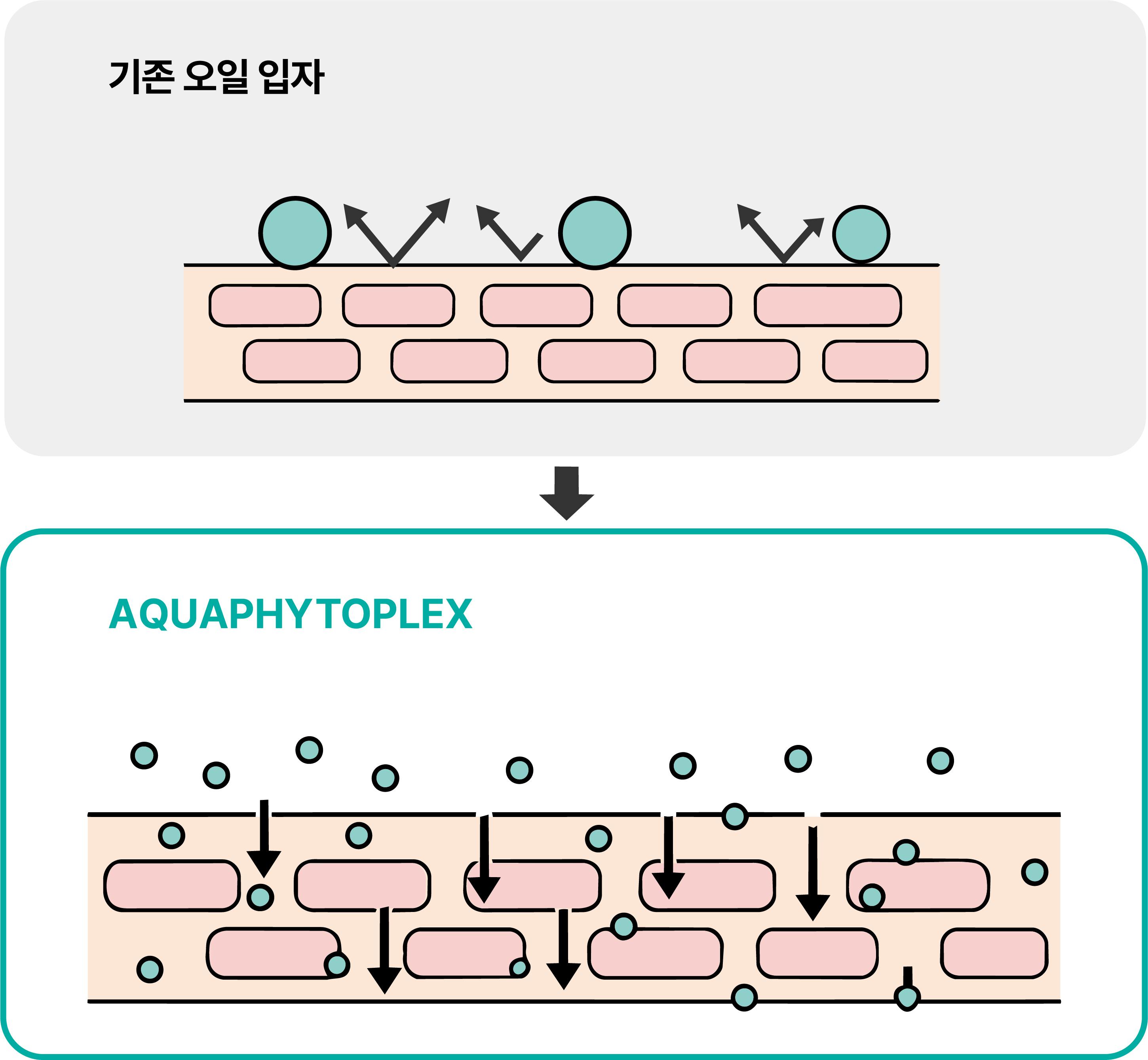  '증명 가능한' 피부 흡수 기술, 아쿠아피토플렉스