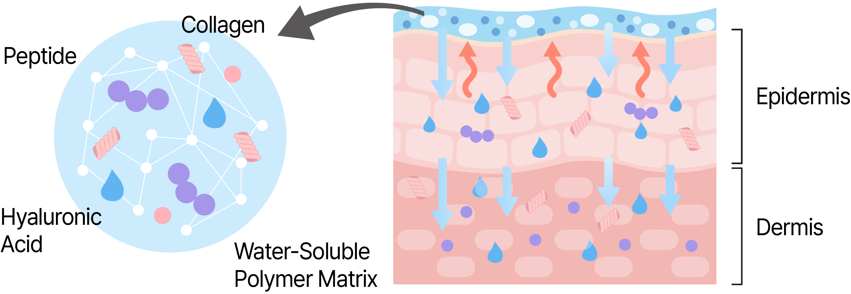 Hydrogel Masks Are Booming: Which Formula Wins in 2027?