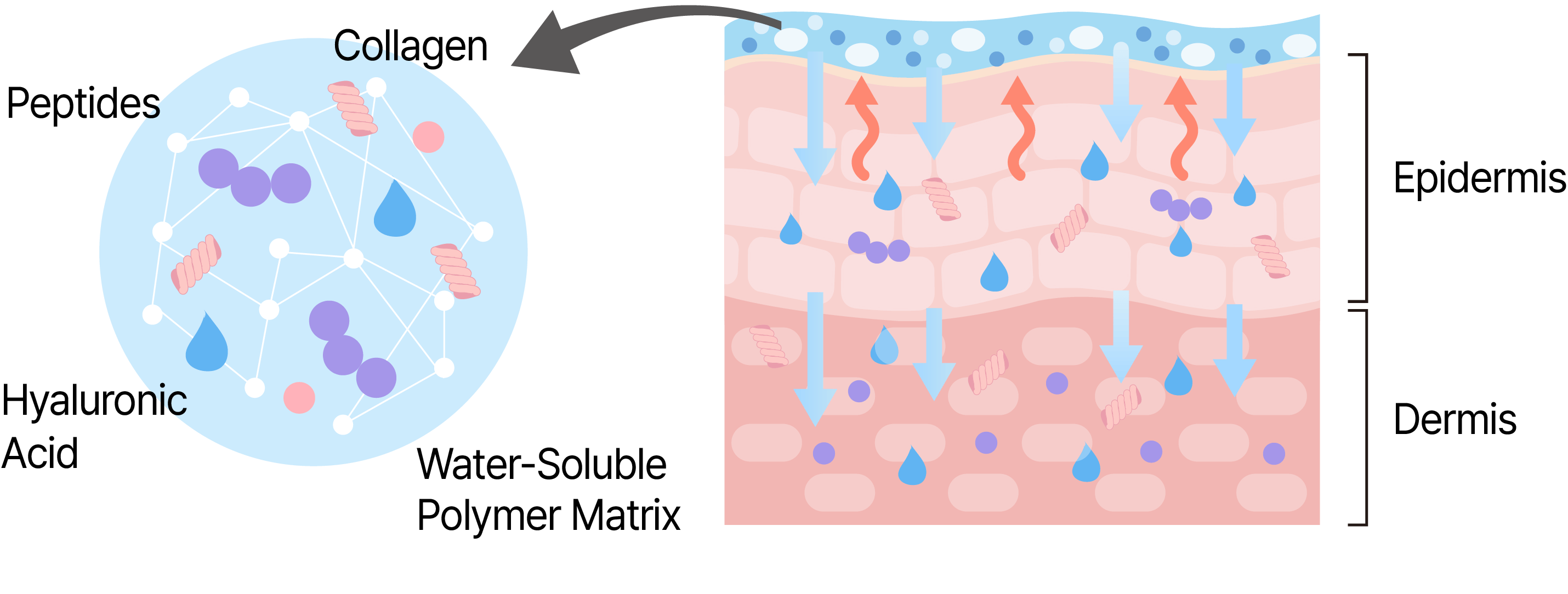 The Reasons Behind the Shift from Sheet Masks to Hydrogel for Beautiful, Healthy-Looking Skin